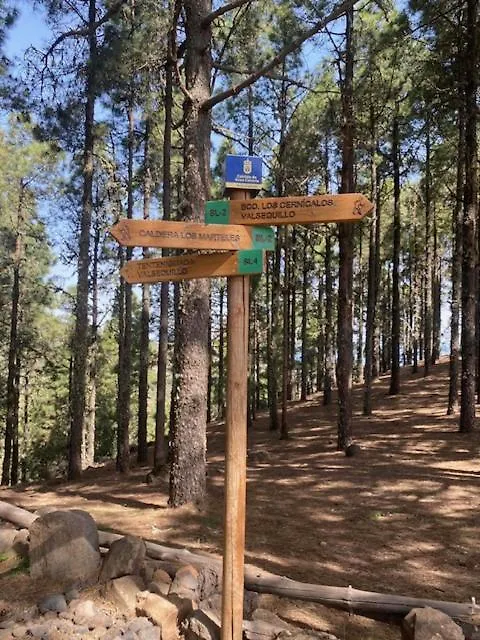 Casa Rural Ruta Del Tajinaste Azul Valsequillo de Gran Canaria Spain