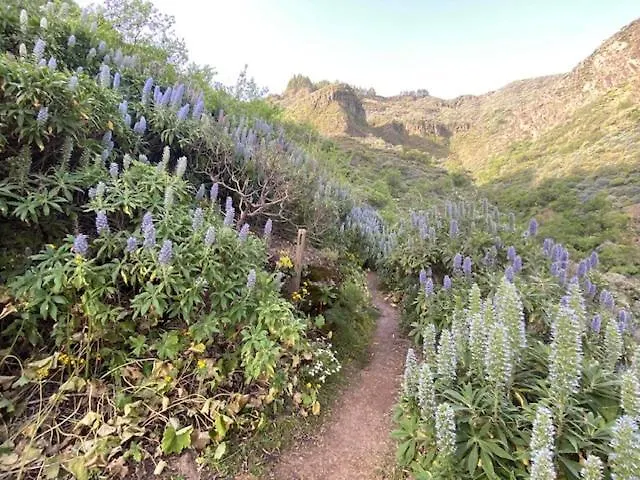 Casa Rural Ruta Del Tajinaste Azul Valsequillo de Gran Canaria 0*,