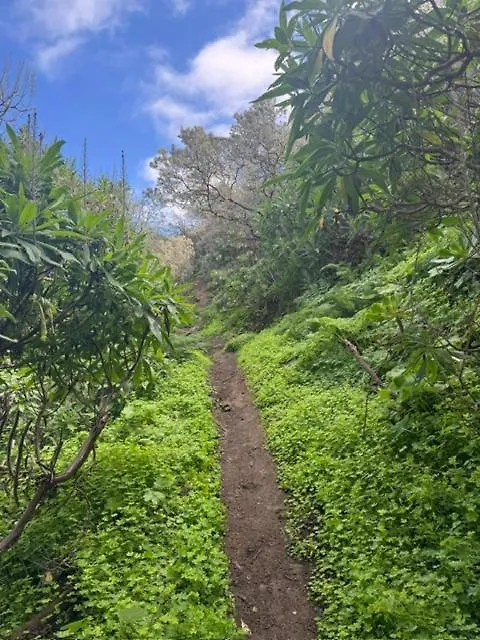 Casa Rural Ruta Del Tajinaste Azul Valsequillo de Gran Canaria