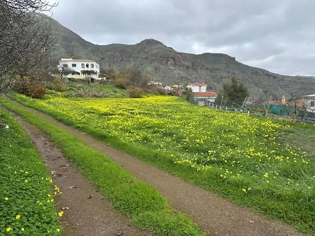 Casa Rural Ruta Del Tajinaste Azul Valsequillo de Gran Canaria 0*,  España
