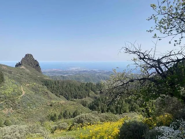 Apartamento Casa Rural Ruta Del Tajinaste Azul Valsequillo de Gran Canaria