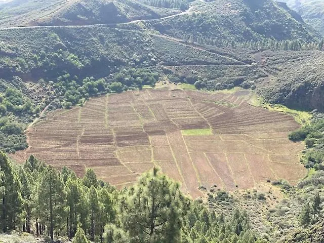 Casa Rural Ruta Del Tajinaste Azul Valsequillo de Gran Canaria 0*,