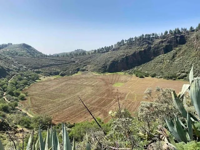Apartamento Casa Rural Ruta Del Tajinaste Azul Valsequillo de Gran Canaria