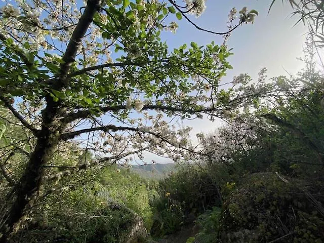 Casa Rural Ruta Del Tajinaste Azul Valsequillo de Gran Canaria 0*,  España