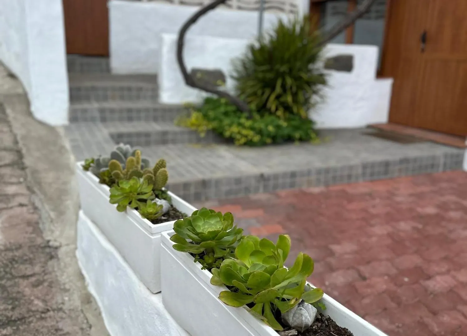 Apartamento Casa Rural Ruta Del Tajinaste Azul Valsequillo de Gran Canaria